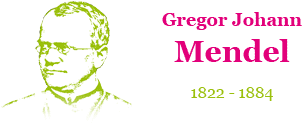 Gregor Johann Mendel 1822 - 1884